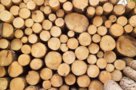Защита древесины от грибка, насекомых и огня