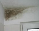 Как удалить пятна на потолке